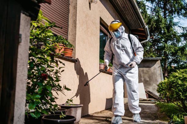 Trusted Oak Lawn, IL Pest Control Experts