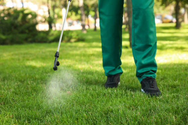 Best Wildlife Control Services  in Oak Lawn, IL