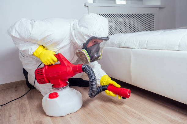 Best Flea Control Services  in Oak Lawn, IL