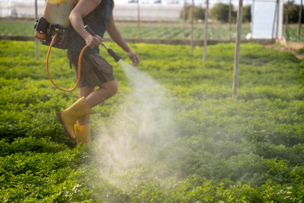Best Best Pest Control Companies  in Oak Lawn, IL