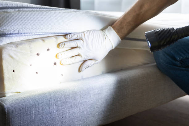  Oak Lawn, IL Pest Control Pros