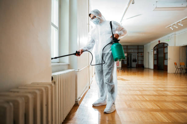 Best Wasp Removal Services  in Oak Lawn, IL